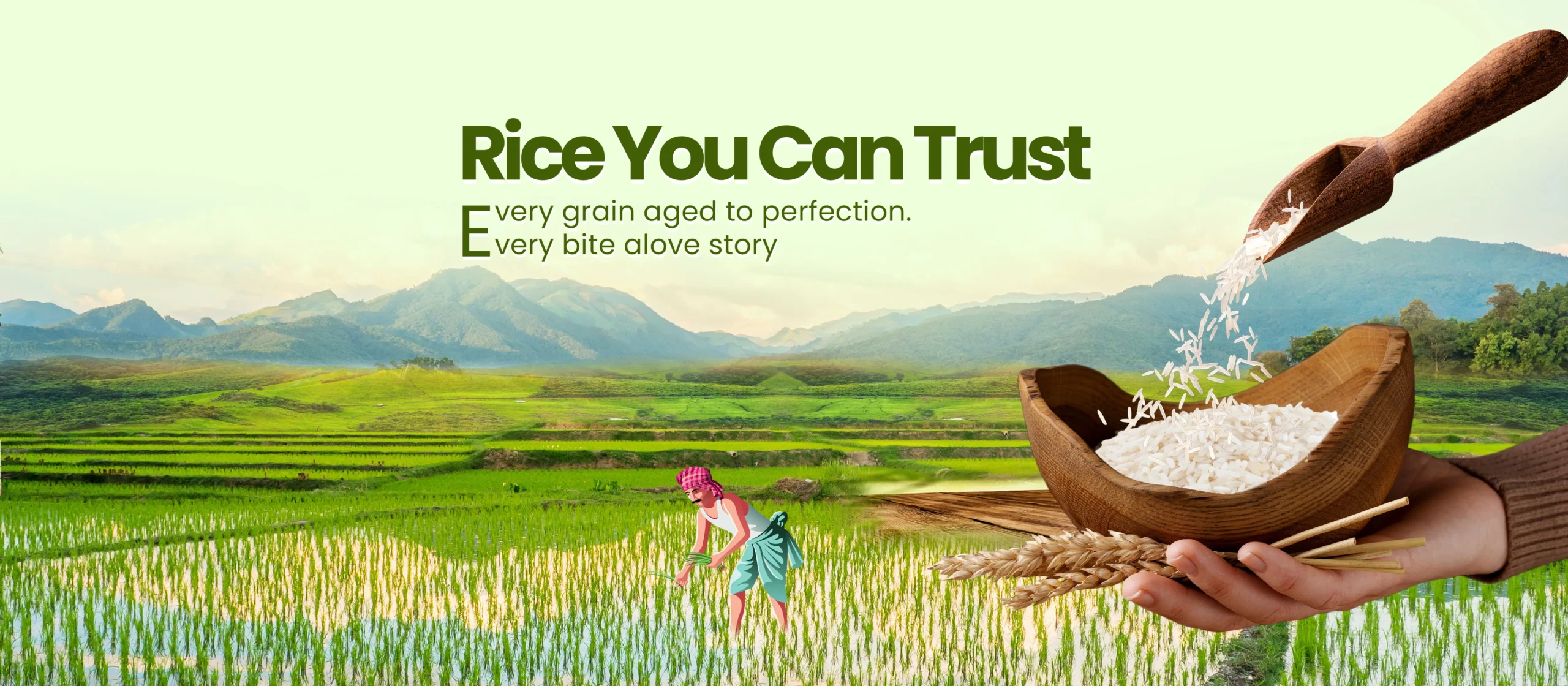 website-banner14-01-2026